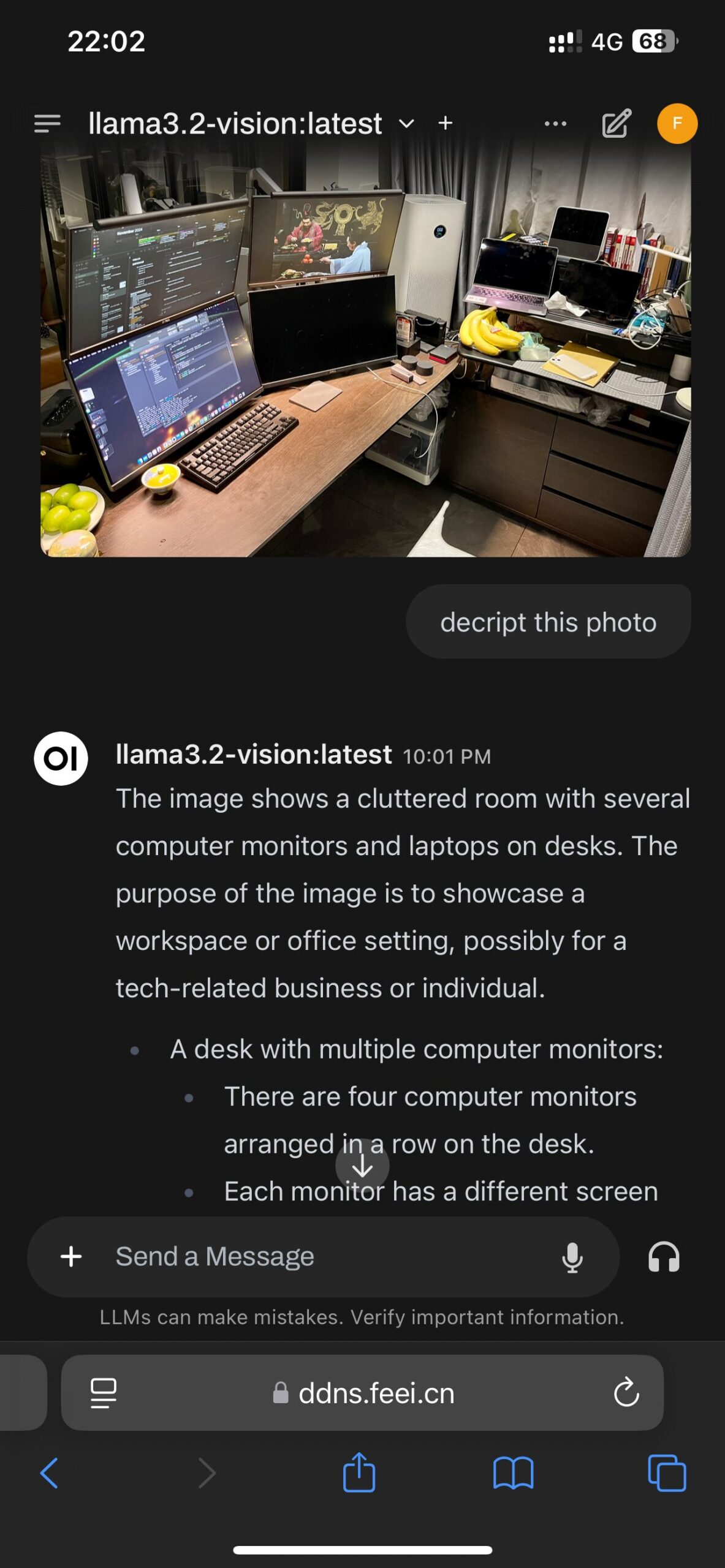 Using LLM descrpt photos