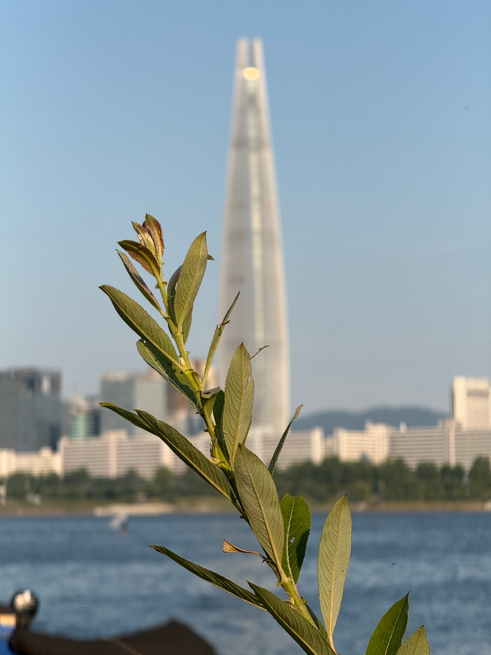 汉江桥的远景 18:09