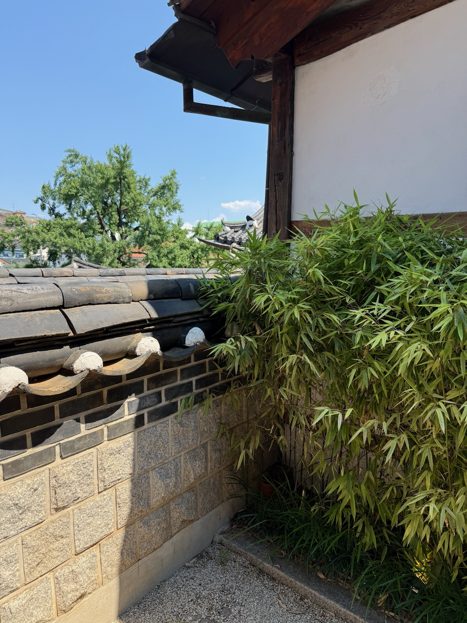 韩屋外墙上的竹影，斜斜打在灰白墙面上 14:32